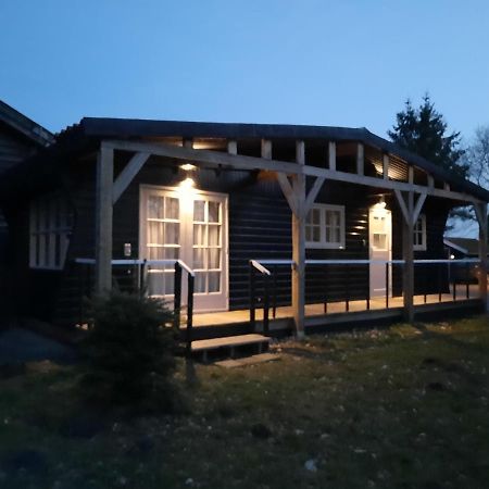 Chalet Het Wollinghuisje Vlagtwedde Zewnętrze zdjęcie