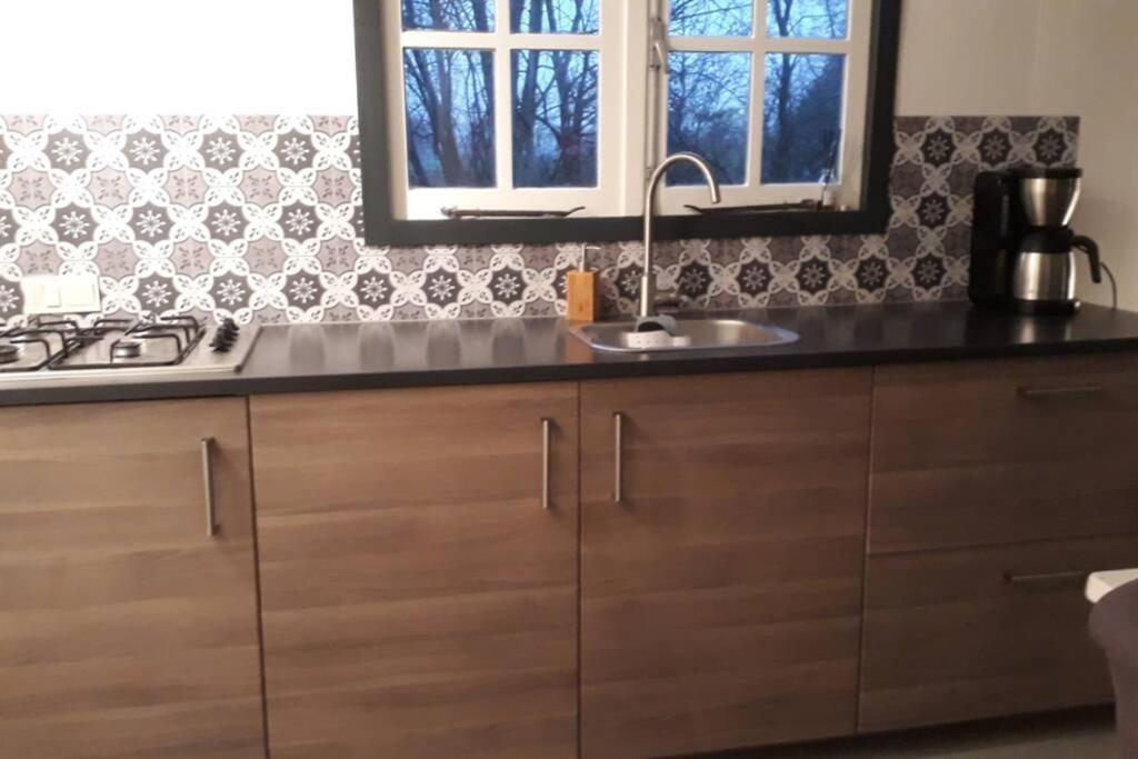 Chalet Het Wollinghuisje Vlagtwedde Zewnętrze zdjęcie