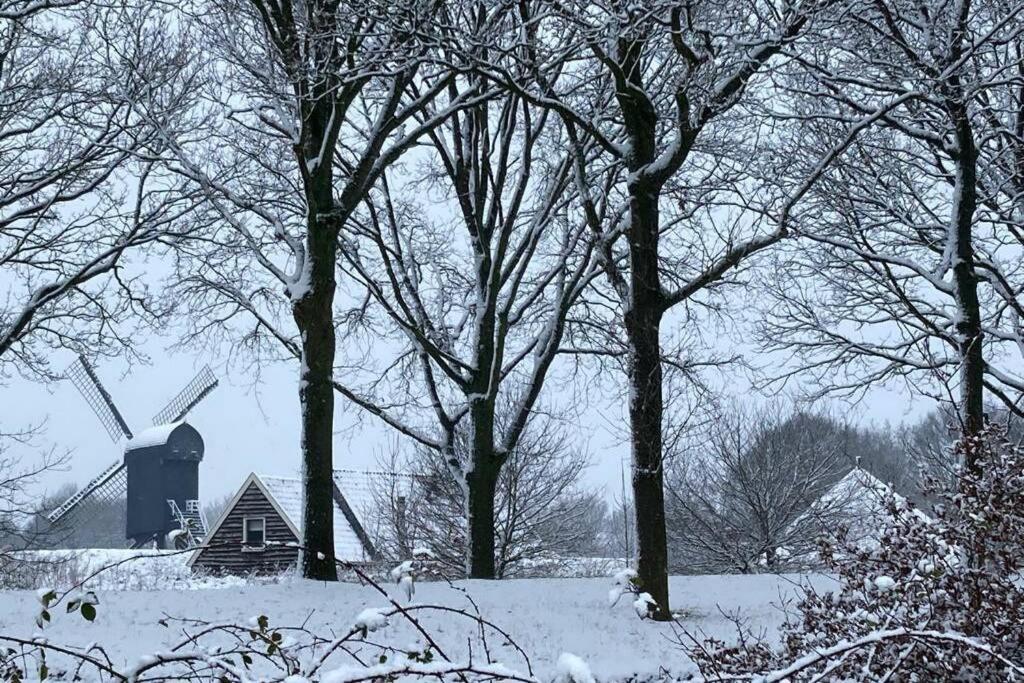 Chalet Het Wollinghuisje Vlagtwedde Zewnętrze zdjęcie