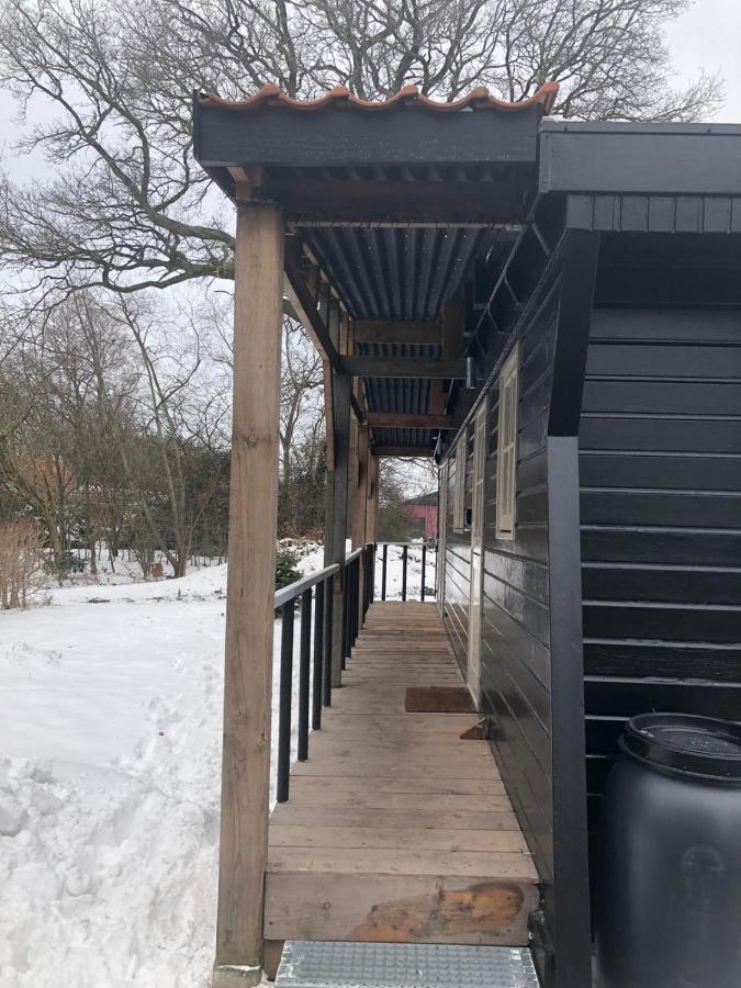 Chalet Het Wollinghuisje Vlagtwedde Zewnętrze zdjęcie