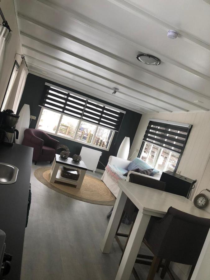Chalet Het Wollinghuisje Vlagtwedde Zewnętrze zdjęcie