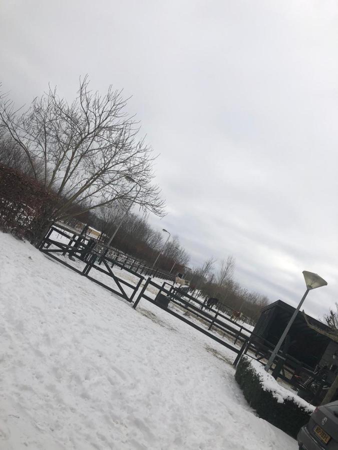 Chalet Het Wollinghuisje Vlagtwedde Zewnętrze zdjęcie